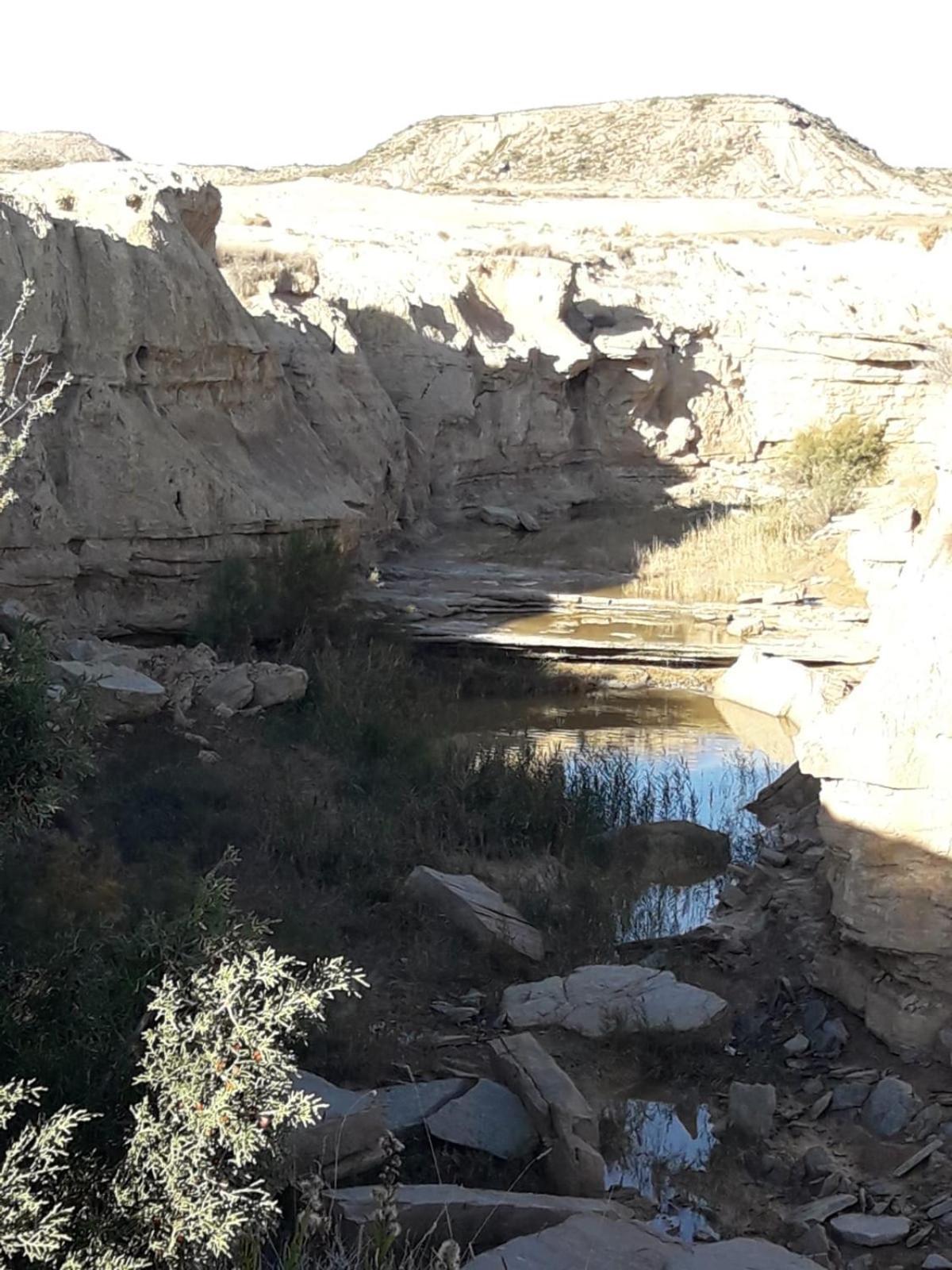 La Manguita Bardenas Villa Arguedas Buitenkant foto